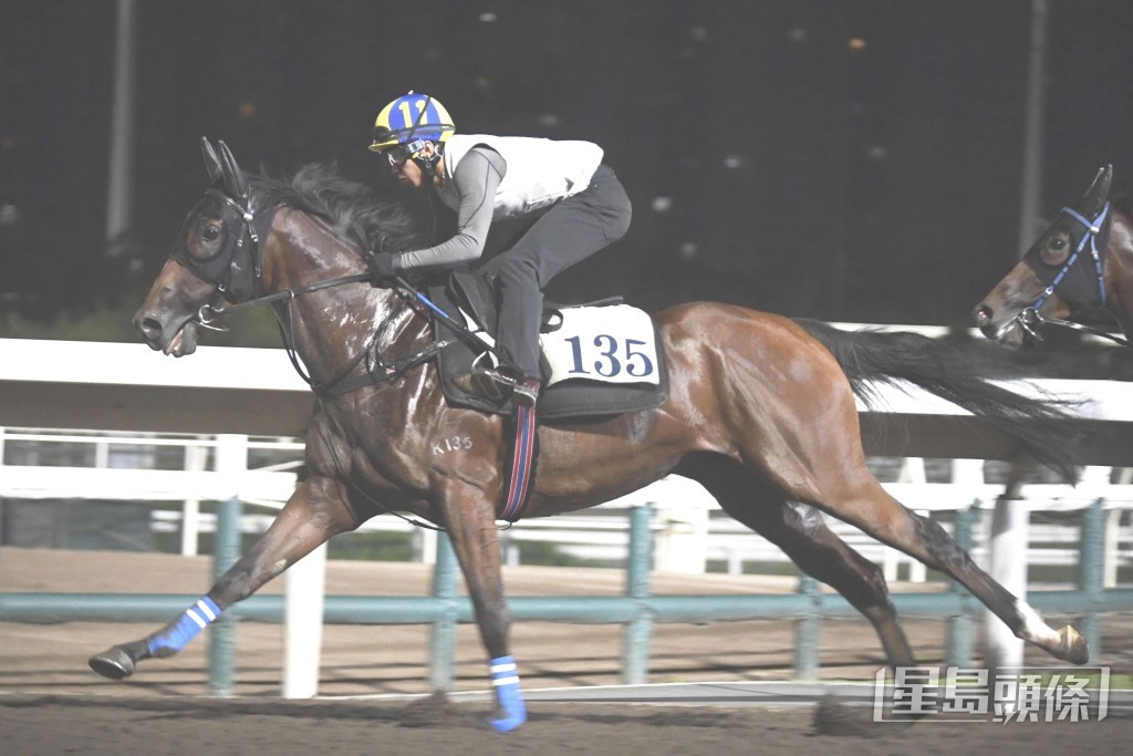  「有色光輝」出腳爽勁貫注力足，馬身扎實外觀吸引，。