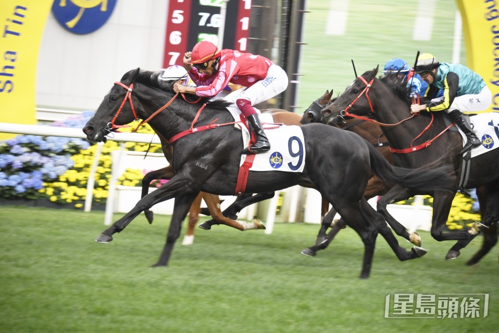 「红衣醒目」今季取得三季两殿。