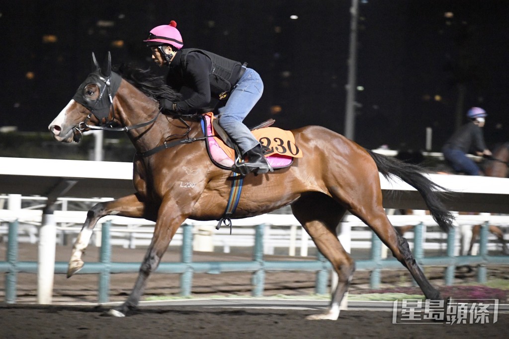 「櫻花酒杯」馬身更靚更結實，再進一步星味十足。