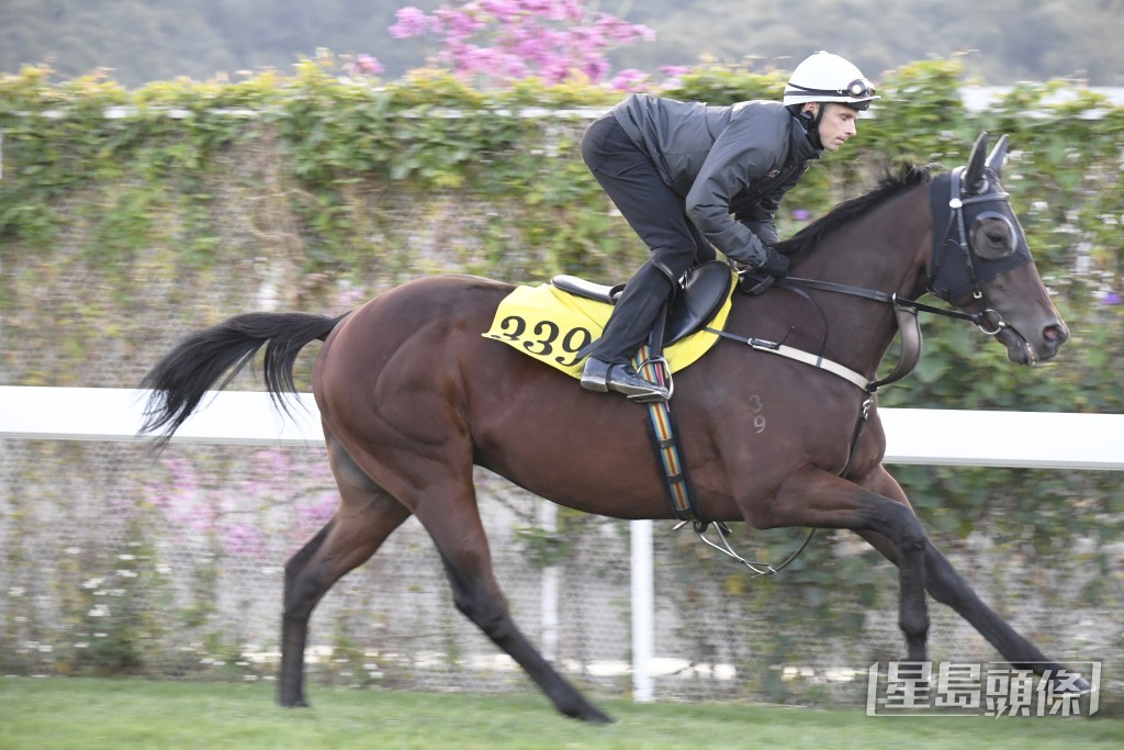 「泷泽飞驹」暗火涌现跃跃欲试，依然省镜。