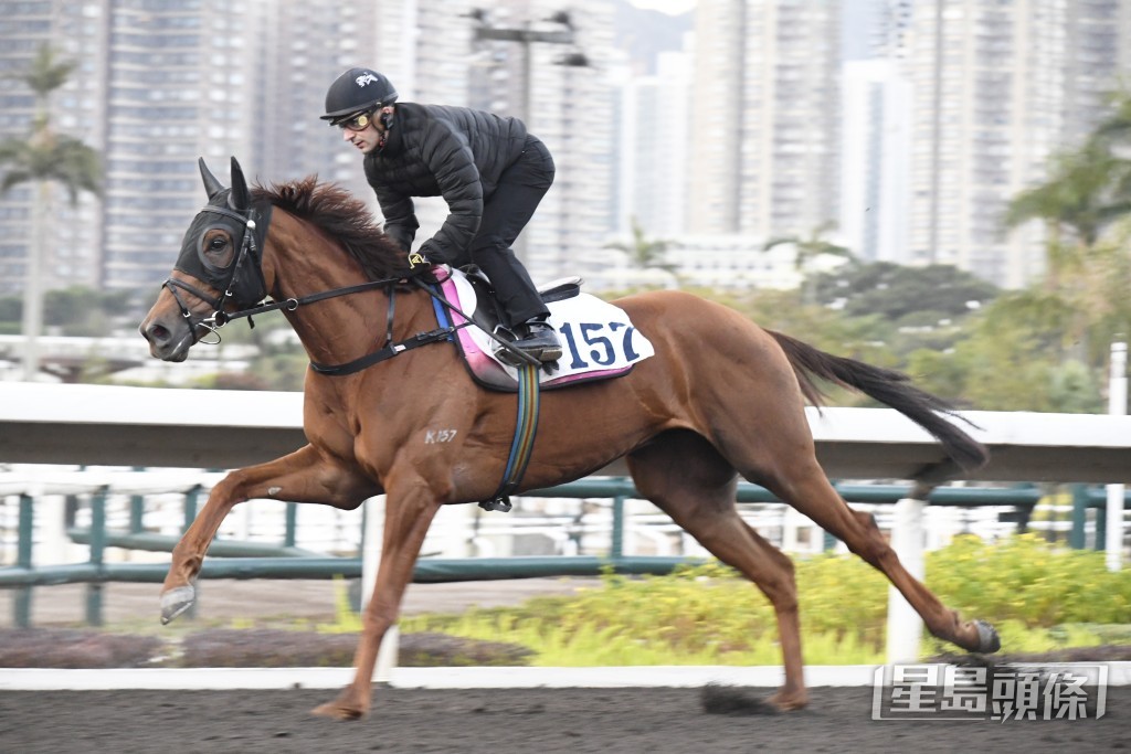 「劲勇皇驹」全程担高头走相当神气，走势爽朗勇锐无比。