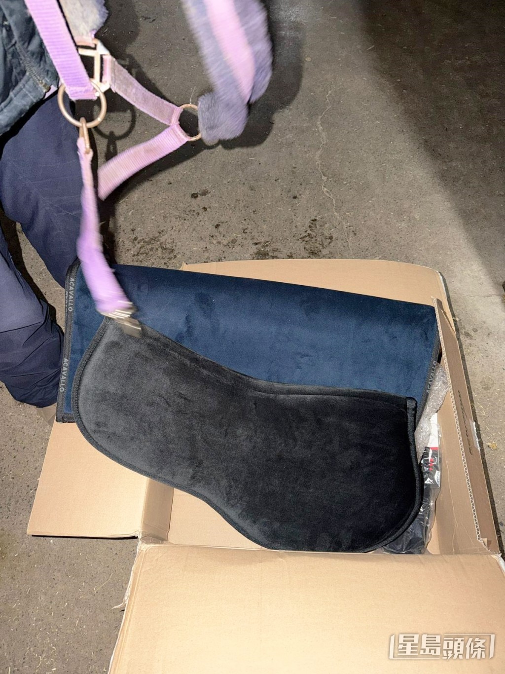 聖誕禮物之二:一套新馬鞍 聖誕禮物之二:一套新馬鞍