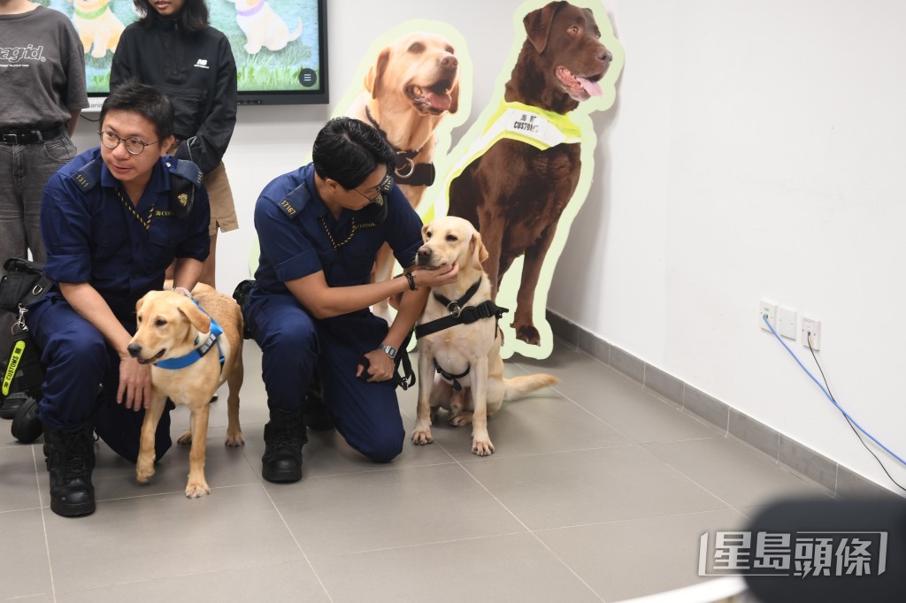 今日海關開放搜查犬訓練基地予得獎參賽者參觀。林思明攝 今日海關開放搜查犬訓練基地予得獎參賽者參觀。林思明攝