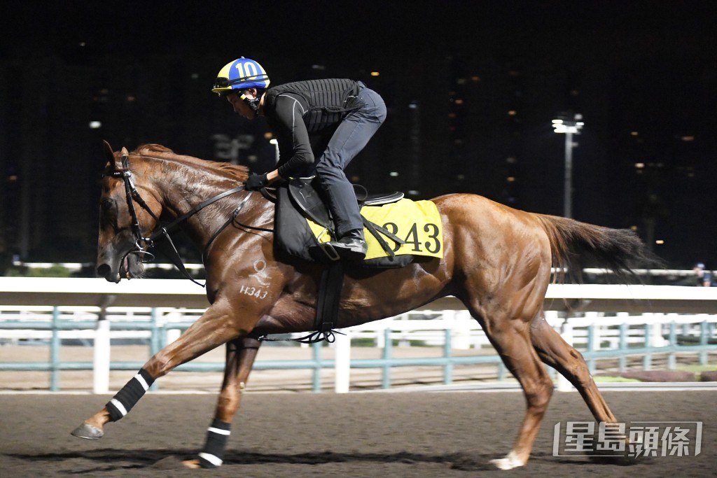 「海藍寶」步順有力神態暢旺，近況理想不遜勝時。