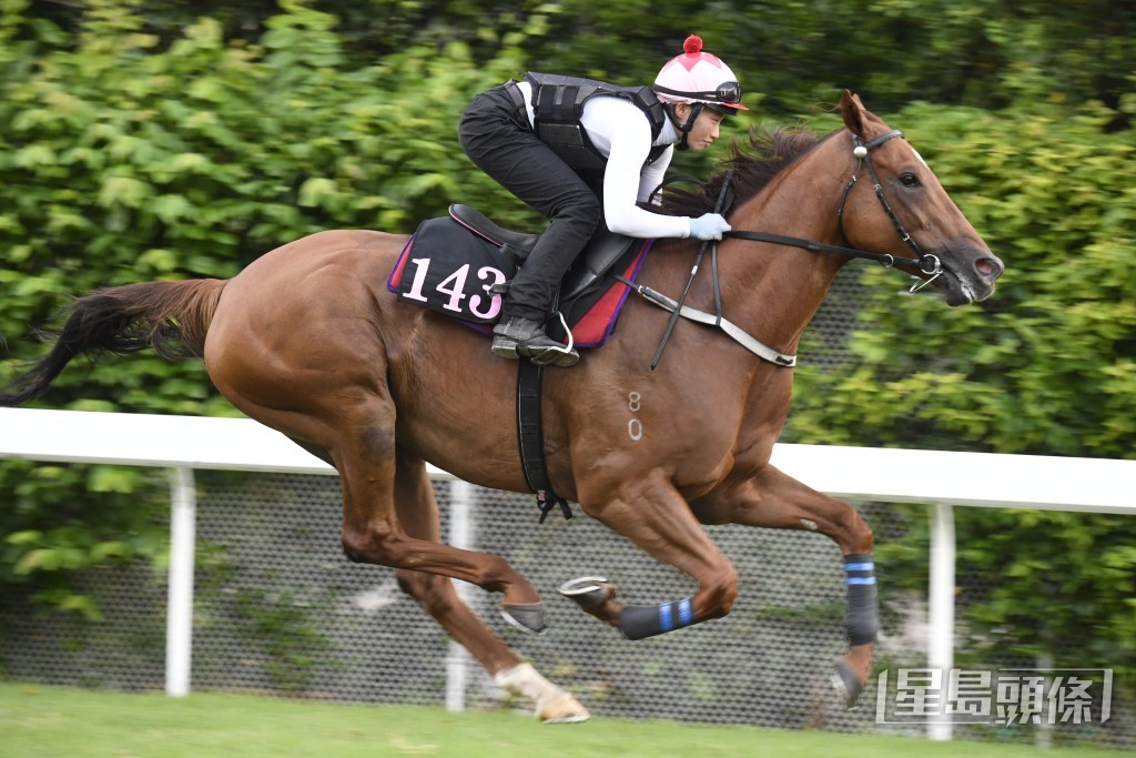 今朝「日馳千里」試跑原本落後廄侶「愛飛豪俠」五、六個馬位，最後居然追上尚要反先。