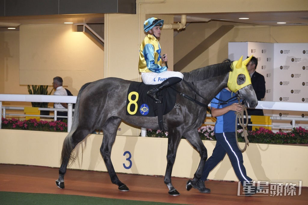 「康昌之星」上季尾及今季均在此程後上得亞軍。