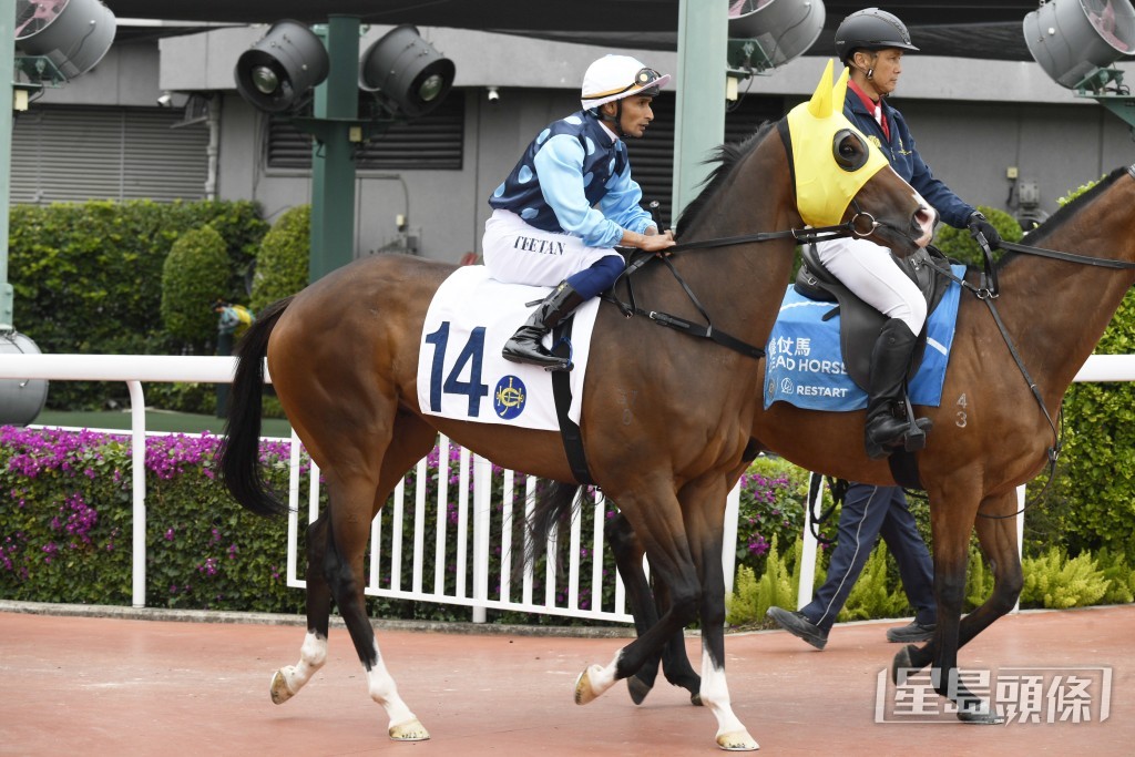 「超風速」最近兩度在田草千四米上名。