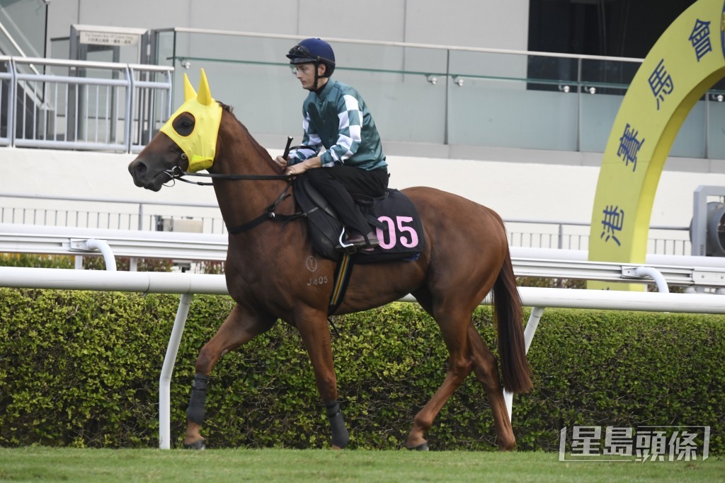 「展雄威」今次跑合适路程，有望跑出水准，走入前列一席。