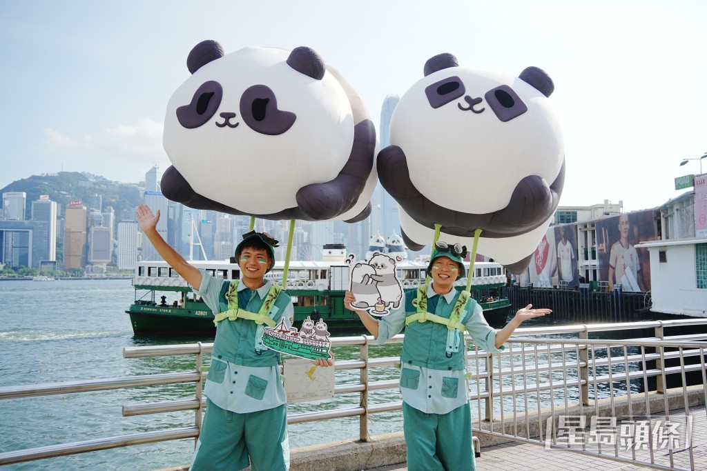 為慶祝大熊貓龍鳳胎「加加」和「得得」8月15日一歲生日，推出特別版天星小輪。
