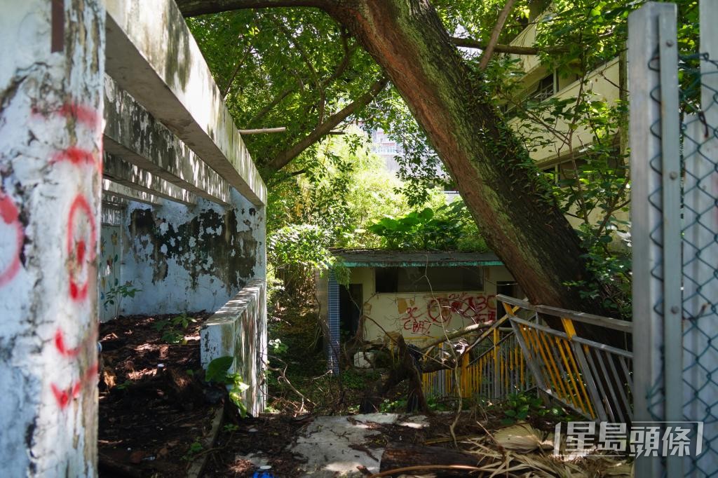 梁淑蘭表示,隨着村校舊生逐漸老去,或許再難得知村校的故事。 梁淑蘭表示,隨着村校舊生逐漸老去,或許再難得知村校的故事。
