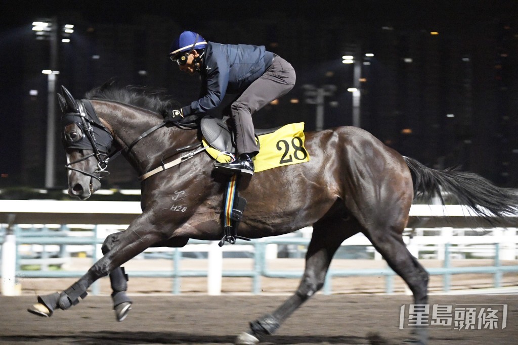 「嘉應勇士」出跳前後桂福特都跟到實。