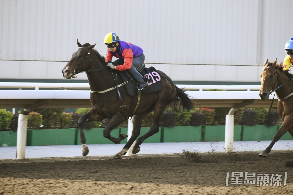 「飲杯」吼準拆組遇弱手更充滿誠意，乃今場穩健馬膽。