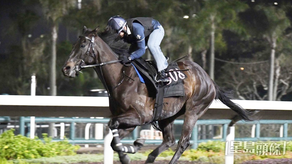 「光辉岁月」目光锐利充满朝气，胜后有进无退。