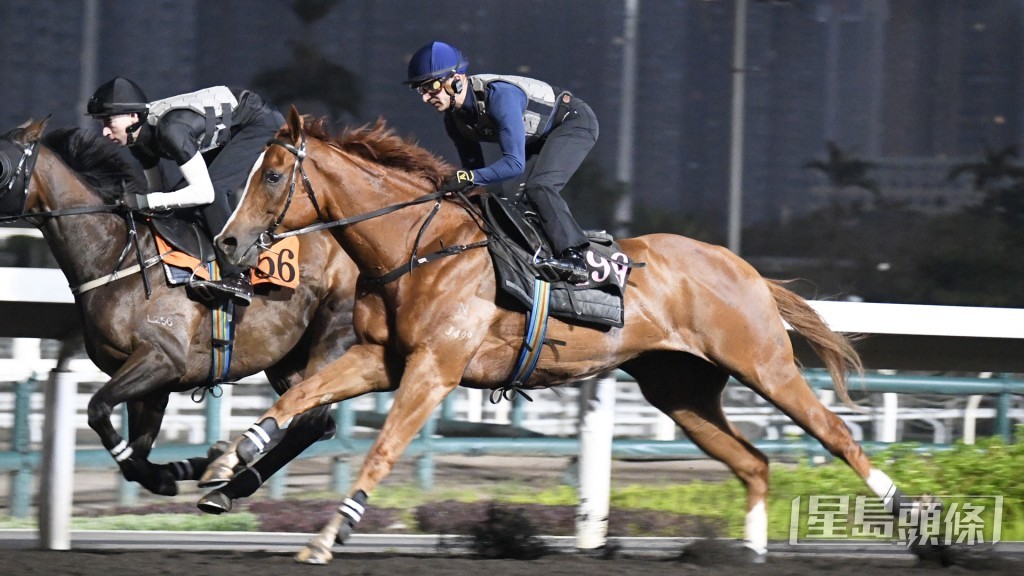 「金玉良言」火力有增无减，弗到爆。