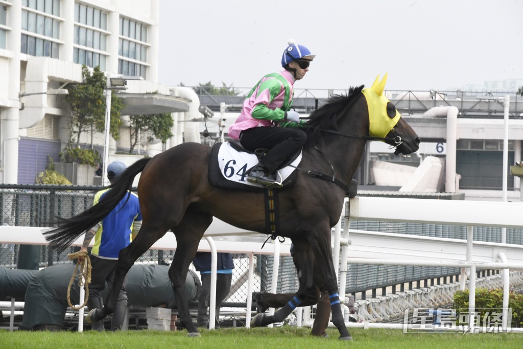 「友莹光」上场初出即在千二米后上得第五。