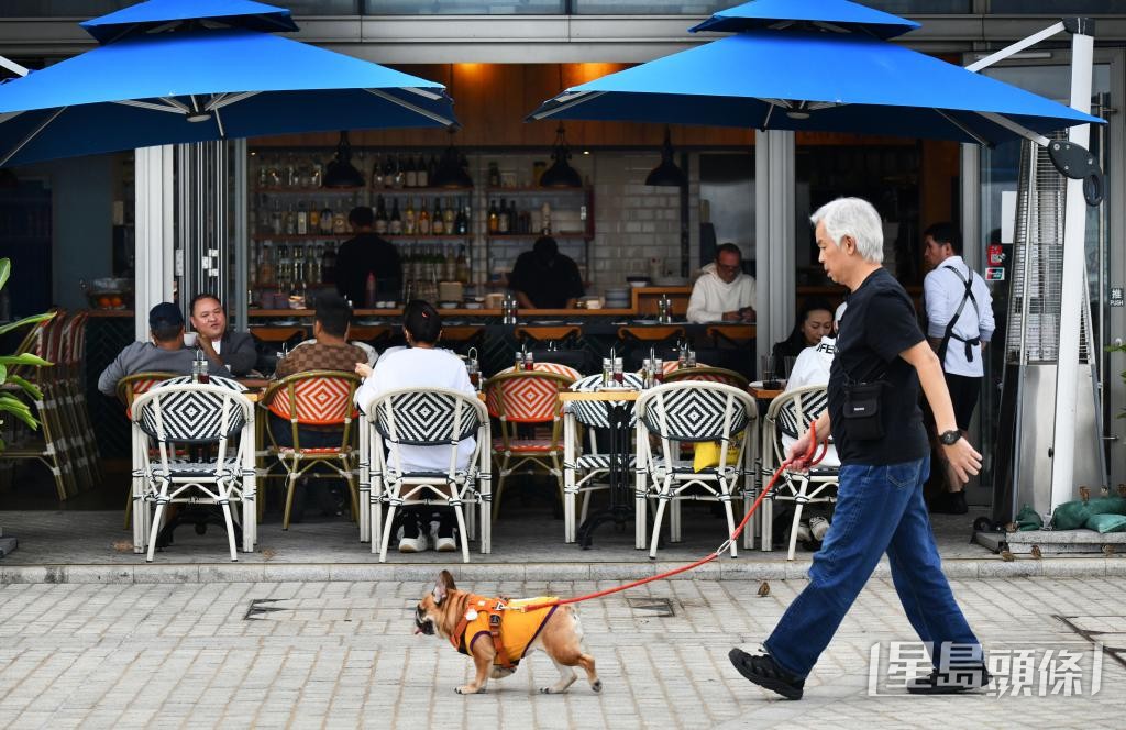 多間寵物酒店提早爆滿。