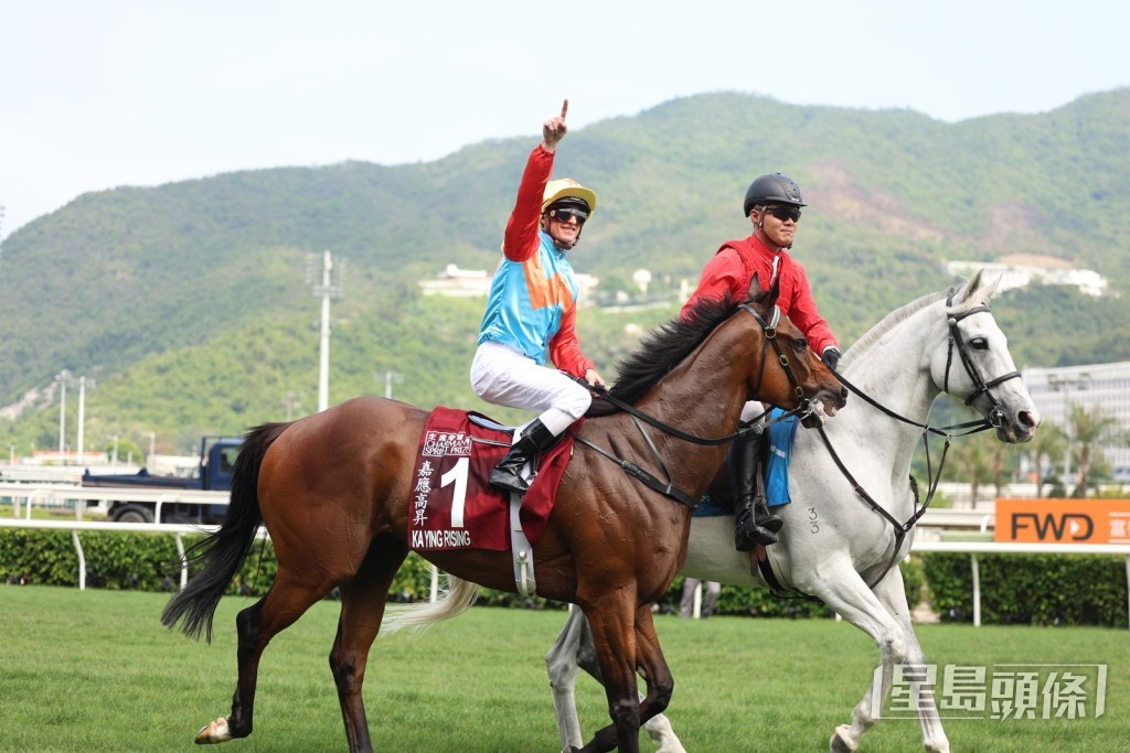 「嘉應高昇」上季同樣八戰全勝,包括勝出香港短途錦標、百週年紀念短途盃、女皇銀禧紀念盃及主席短途獎四場國際一級賽,成為速度系列三冠王,初登馬王寶座。 「嘉應高昇」上季同樣八戰全勝,包括勝出香港短途錦標、百週年紀念短途盃、女皇銀禧紀念盃及主席短途獎四場國際一級賽,成為速度系列三冠王,初登馬王寶座。