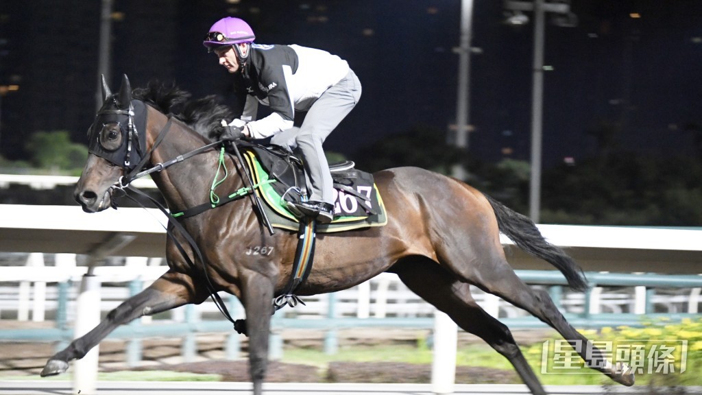 「奋斗心」出脚爽劲有力，过终点后余势亦好，。