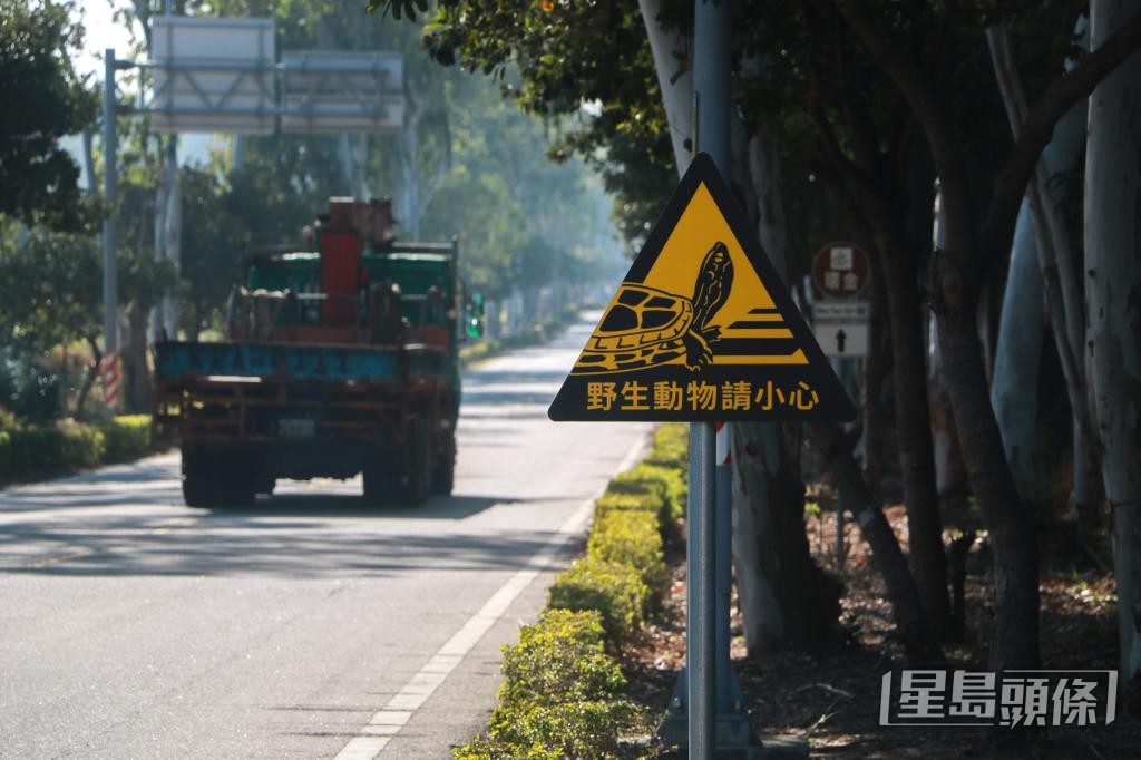 台灣金門於原生淡水龜出沒的公路設警示牌。