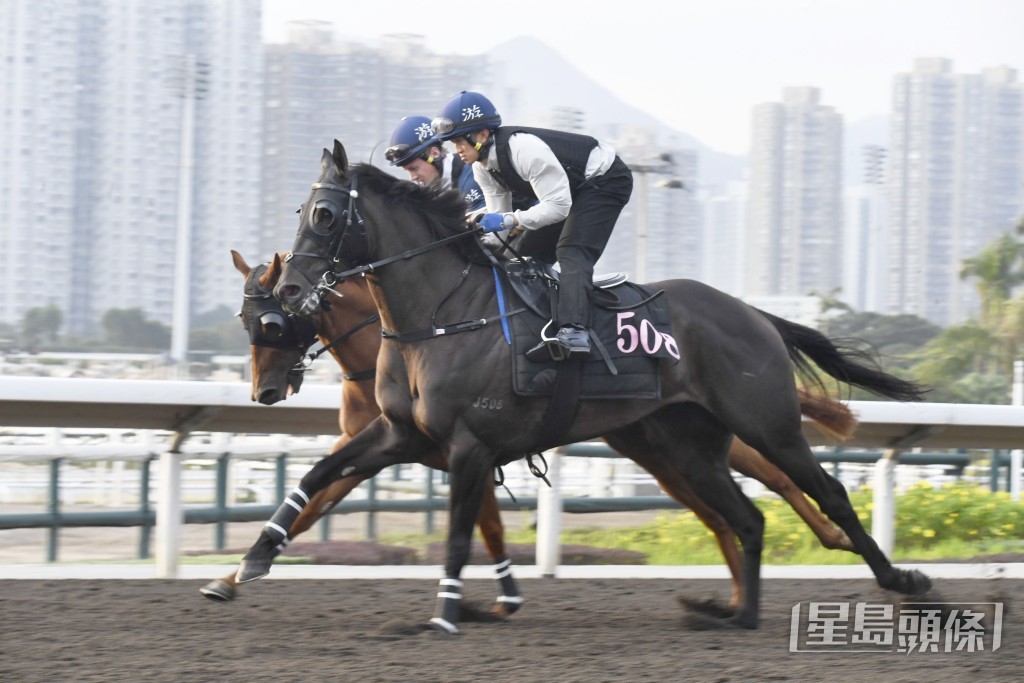 今朝「光辉岁月」被安排弹泥闸测试出闸反应，今战必拼无疑。