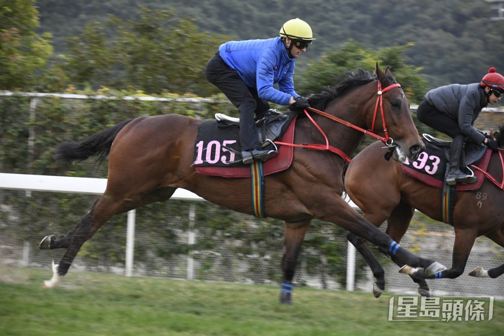  「客家之光」馬身靚，狀態不斷進步，佳態洋溢。