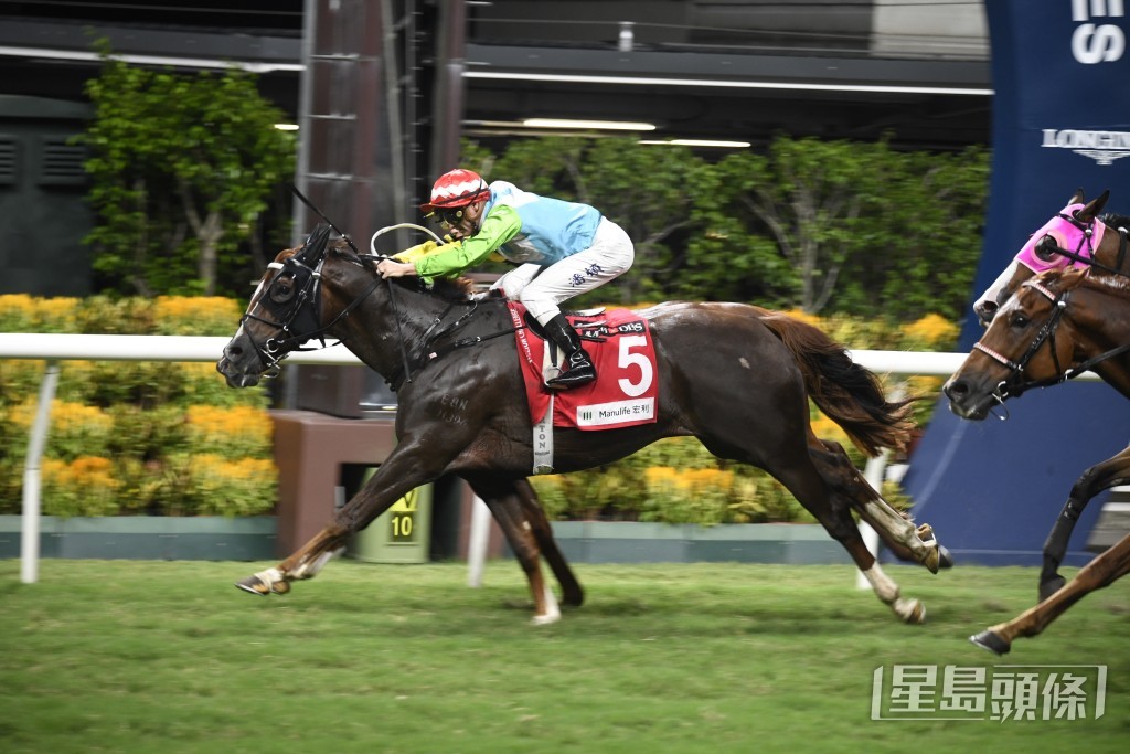 「家樂龍駒」前季曾在田泰安胯下贏馬，今次此駒再跑同程。