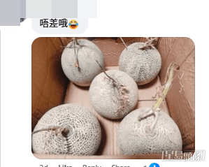 網紋瓜、牛油果及橙亦是網民點名讚好的安全之選(帖文留言截圖) 網紋瓜、牛油果及橙亦是網民點名讚好的安全之選(帖文留言截圖)