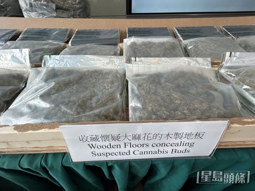 海關展示檢獲的大麻花。林思明攝 海關展示檢獲的大麻花。林思明攝