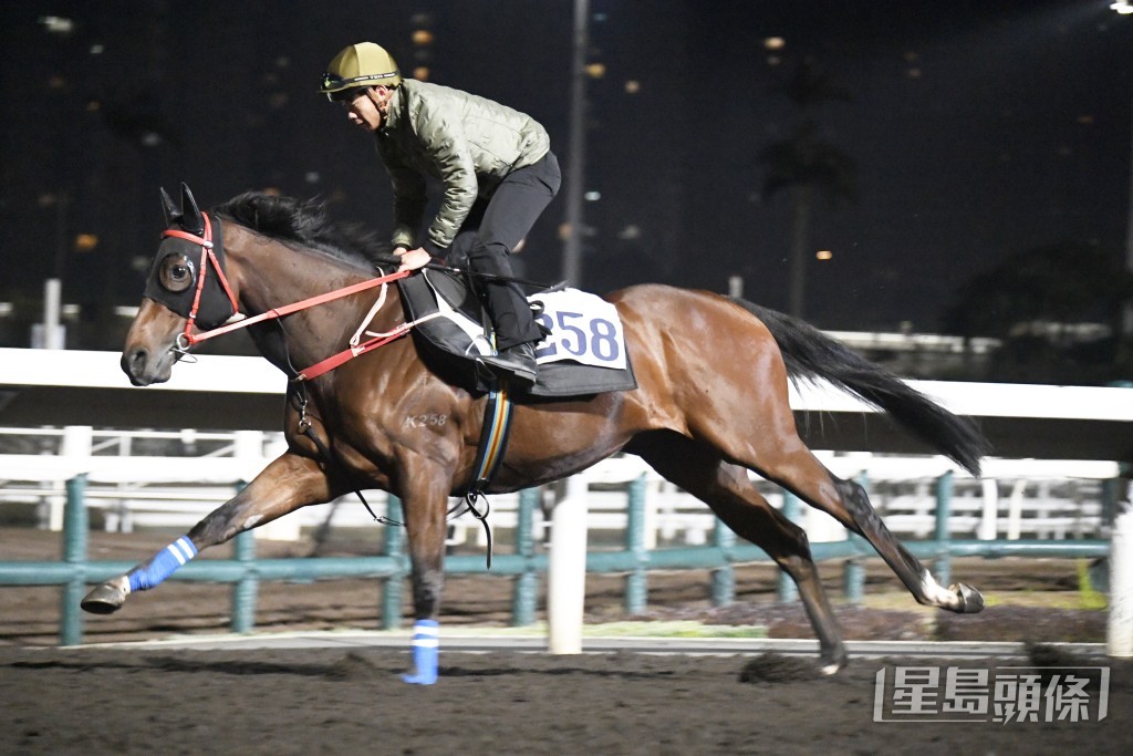 今朝羅富全一度搵梁家俊傾談，「至尊瑰寶」充滿搏殺動靜。