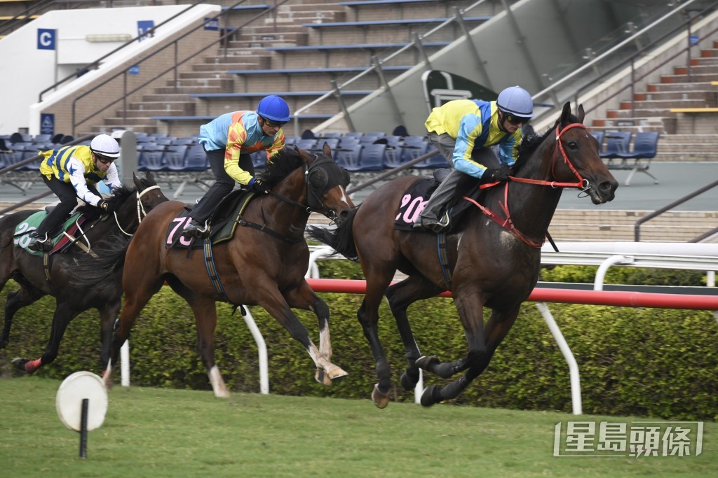 「大至尊」今次復出上陣，將是有備而臨。