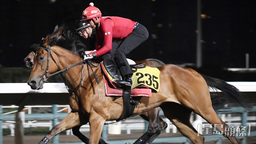 「幸運星球」暗火展現雙目有神，持續操得之馬，朝氣勃勃。