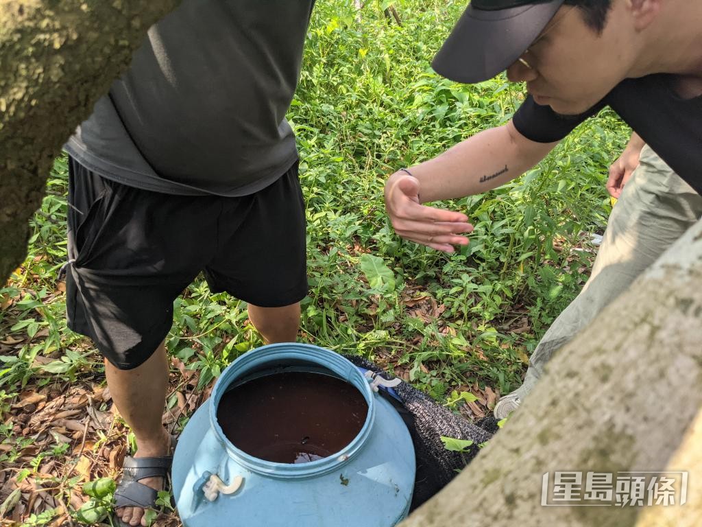 梁仕池打開罈子聞嗅,了解發酵進度。 受訪者提供 梁仕池打開罈子聞嗅,了解發酵進度。 受訪者提供