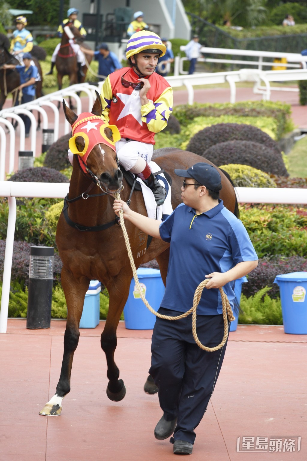  「翠红」今季两战直路赛取得一冠一亚。