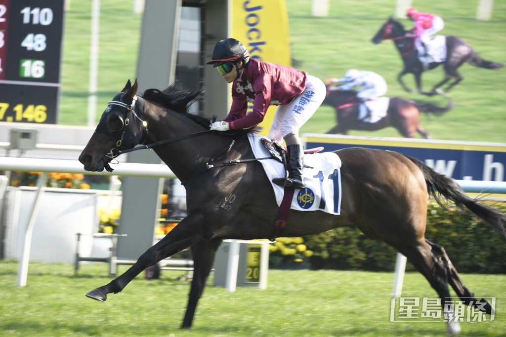  「心雄雄」上場終於在田草千四米贏得在港首場頭馬。