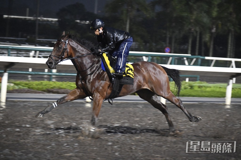 「運來勇士」勇銳無比弗到震。