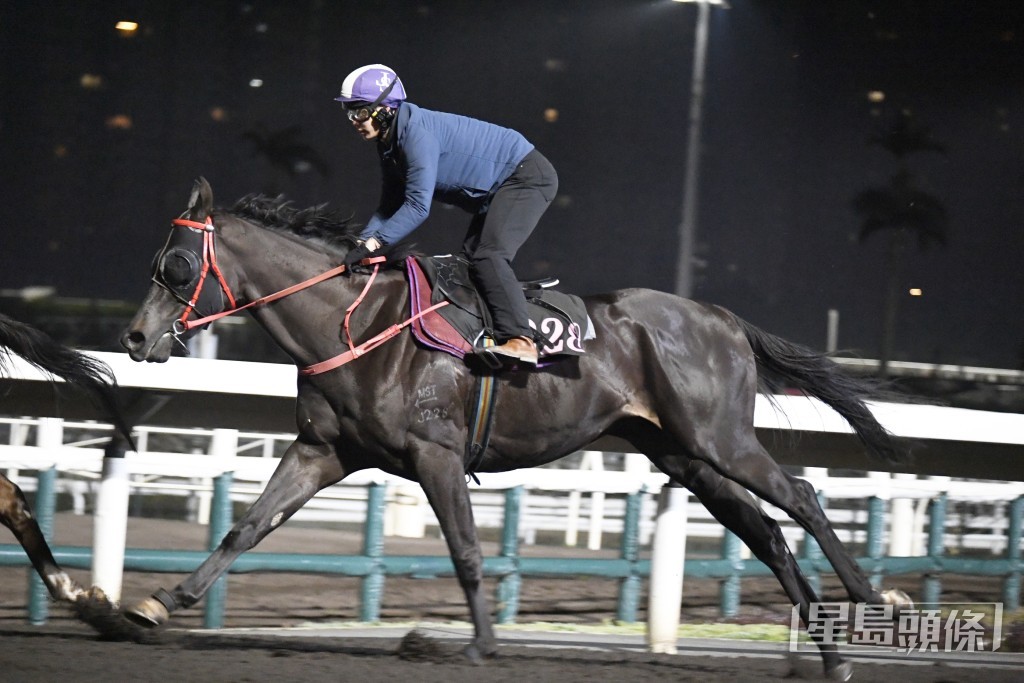 「精算激流」馬身壯到不得了，仍勇毫無疲態。