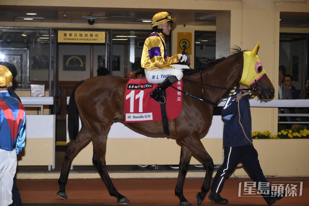 「龍船快」今仗回到四班賽上陣。