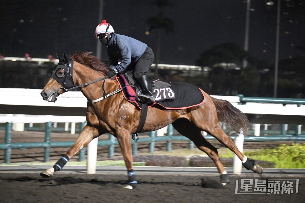 今朝「准辉煌」试跑时，姚本辉跟出跟入，课后更落埋手拖马。