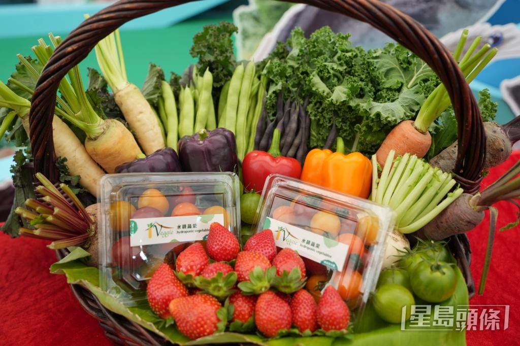 一年一度的本地漁農美食嘉年華，吸引不少本地農戶參加。