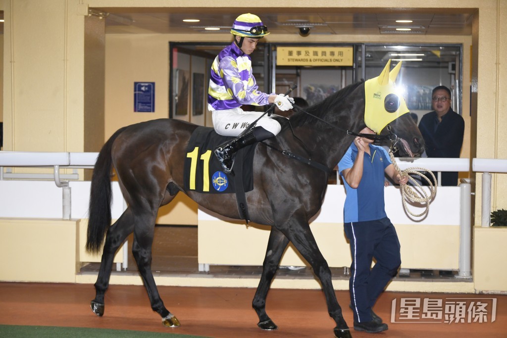  「建测精英」季初只败给再出再赢的「快活英雄」获亚。