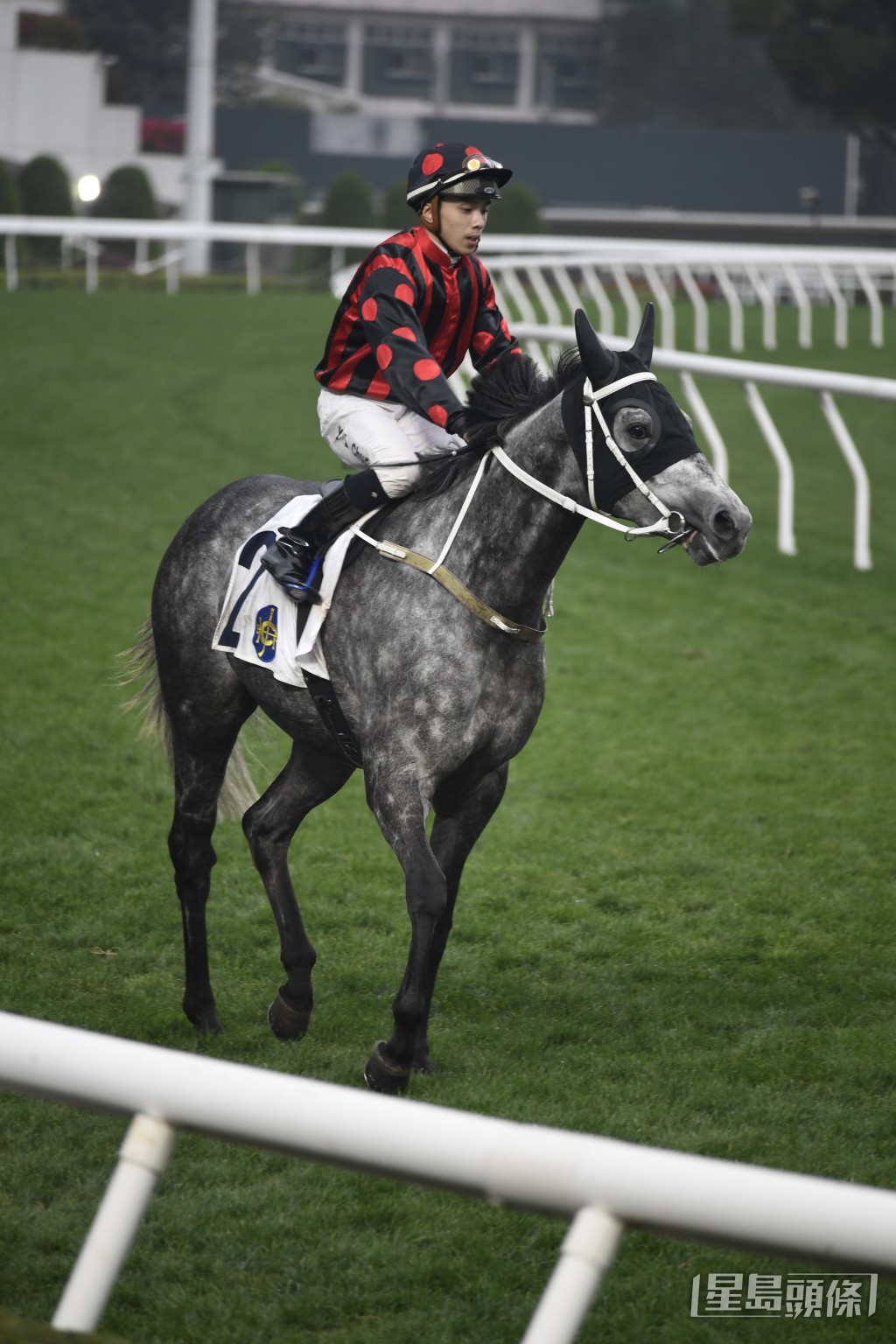 「亞機拉」仍在進步中，今仗可繼續交出好成績。