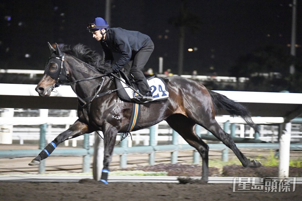 今朝晨课希威森亲自到场替「林家山神」出试。