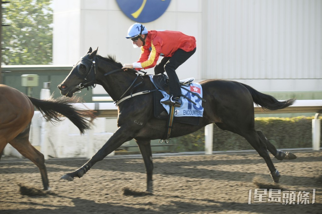 「安遇」今仗回師曾經贏岀四場頭馬的谷草一六五○米。