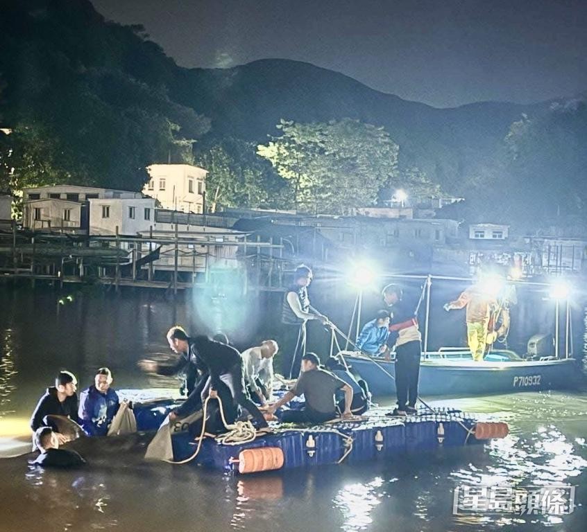 10多名居民自發落海拯救，有人希望當局日後教授拯救鯨豚的知識。