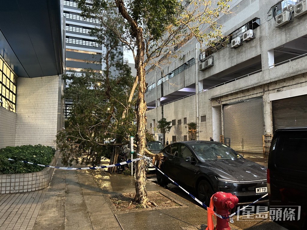 现场附近树木和电自行车也被吹至东歪西倒。