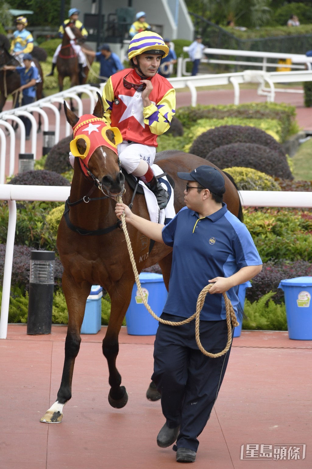「翠紅」明晚將回師曾勝的谷草千二米。