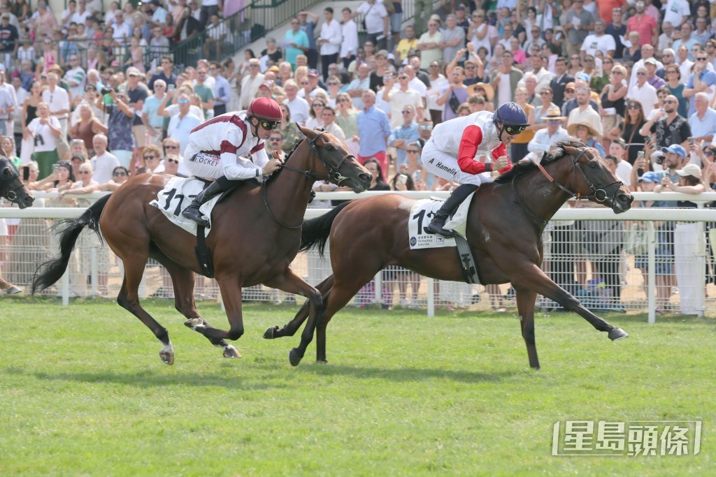 由賀銘年策騎、蓋萊文及康敏珊訓練的Adonide摘下香港賽馬會尚杜朗錦標(1200米)。 由賀銘年策騎、蓋萊文及康敏珊訓練的Adonide摘下香港賽馬會尚杜朗錦標(1200米)。