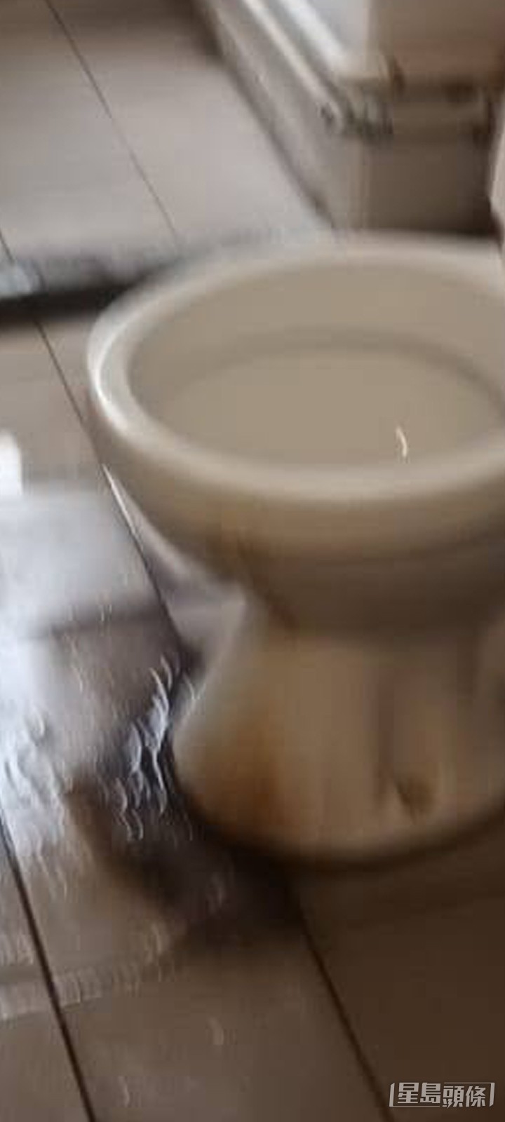 樓主上載的相片可見海富苑海泰閣單位的共用廁所的衛生情況,坐廁及地磚周圍有明顯的啡黑色污跡,環境目測並不十分理想。(帖文截圖) 樓主上載的相片可見海富苑海泰閣單位的共用廁所的衛生情況,坐廁及地磚周圍有明顯的啡黑色污跡,環境目測並不十分理想。(帖文截圖)