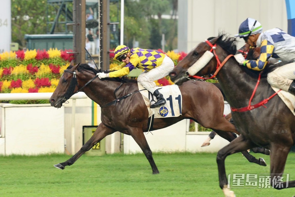 「高感」剛戰以佳勢贏馬，表現出色。