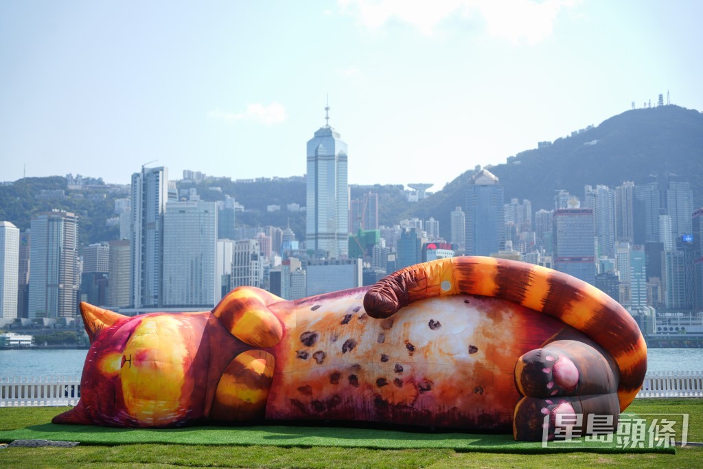 互動藝術裝置《夢遊喵境》首次於亞洲展出，市民可到場感受一下「牠們」的呼嚕聲與心跳。